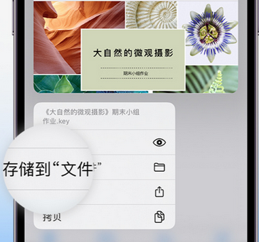 肇州apple维修中心分享iPhone文件应用中存储和找到下载文件