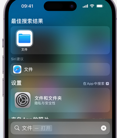 肇州apple维修中心分享iPhone文件应用中存储和找到下载文件 