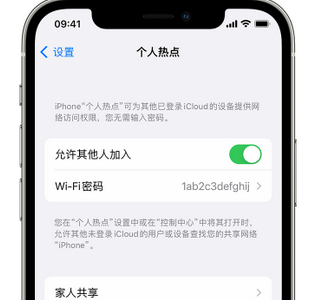 肇州apple服务站点分享iPhone上个人热点丢失了怎么办 