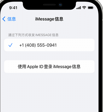 肇州apple维修iPhone上无法正常发送iMessage信息 