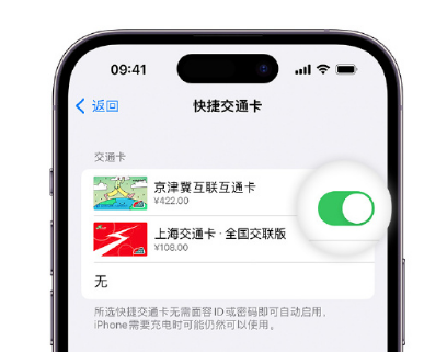 肇州apple维修点分享iPhone上更换Apple Pay快捷交通卡手绘卡面 