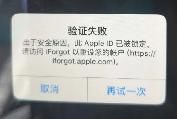 肇州iPhone维修分享iPhone上正常登录或使用AppleID怎么办 