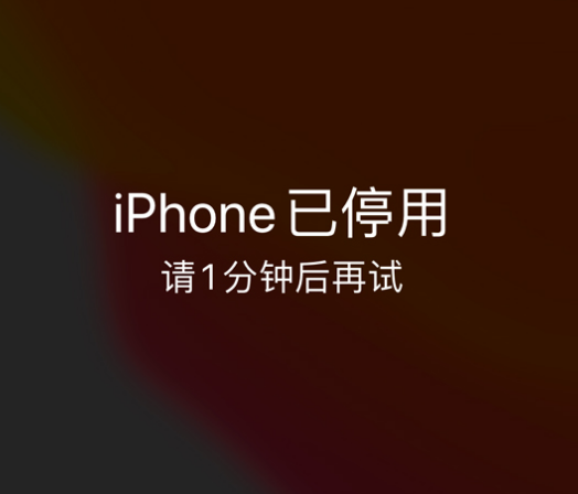 肇州苹果手机维修分享:iPhone 显示“不可用”或“已停用”怎么办？还能保留数据吗？ 