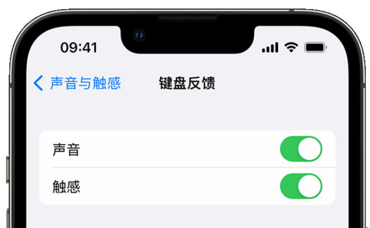 肇州苹果手机维修分享iPhone 14触感键盘使用方法 