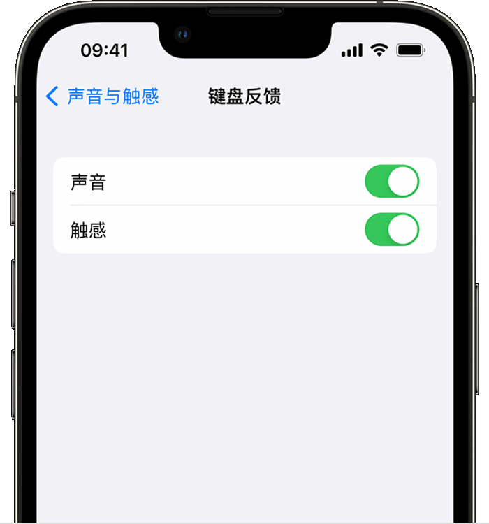 肇州苹果14维修店分享如何在 iPhone 14 机型中使用触感键盘 