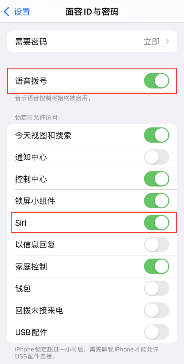 肇州苹果维修网点分享不解锁 iPhone 的情况下通过 Siri 拨打电话的方法 