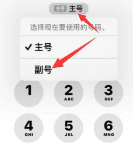 肇州苹果14维修店分享iPhone 14 Pro Max使用副卡打电话的方法 