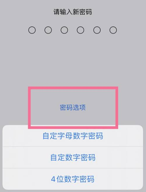 肇州苹果14维修分享iPhone 14plus设置密码的方法 