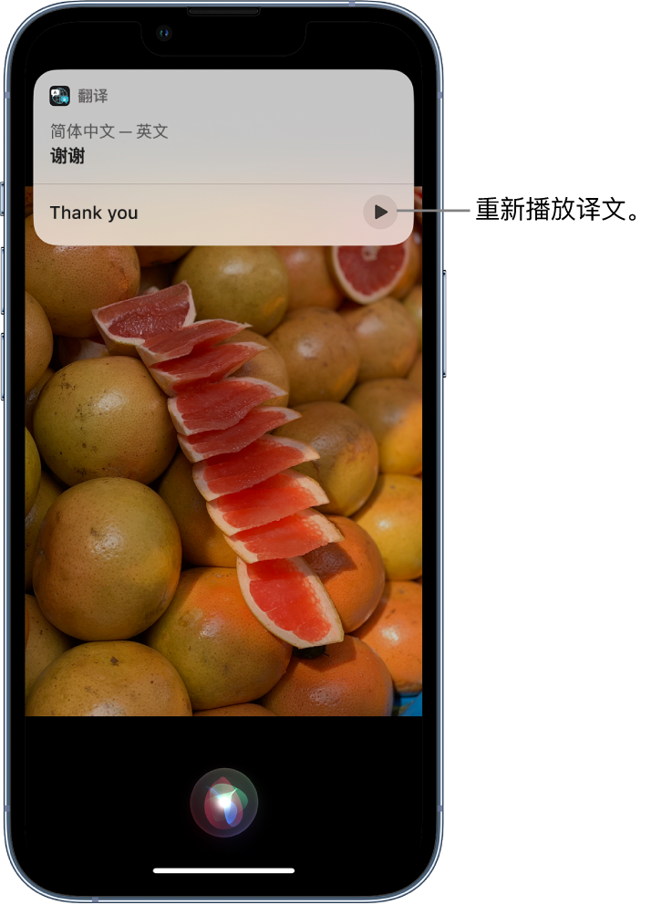 肇州苹果14维修分享 iPhone 14 机型中使用 Siri：了解 Siri 能帮你做什么 