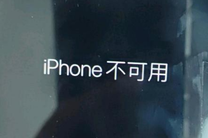 肇州苹果服务网点分享锁屏界面显示“iPhone 不可用”如何解决 