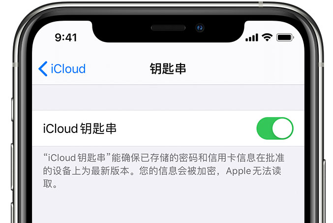 肇州苹果手机维修分享在 iPhone 上开启 iCloud 钥匙串之后会储存哪些信息 