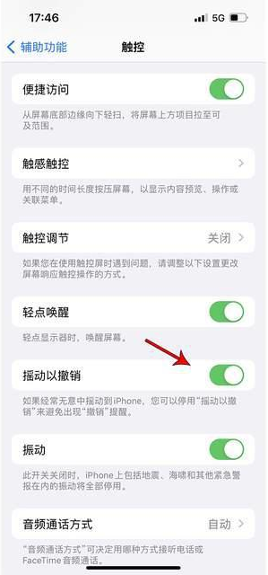 肇州苹果手机维修分享iPhone手机如何设置摇一摇删除文字 