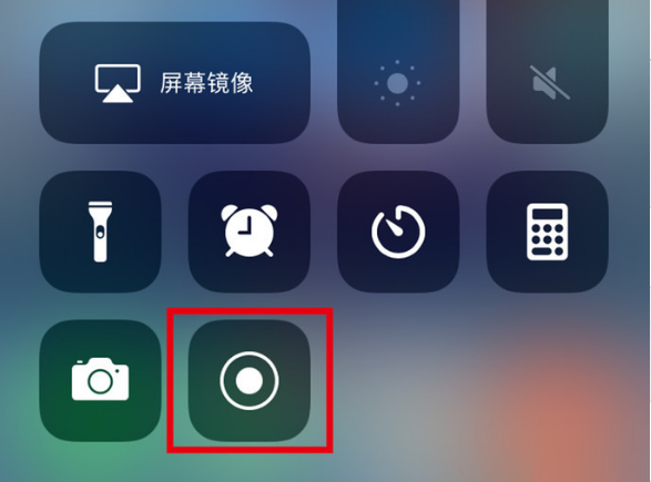 肇州苹果手机维修分享iPhone12录屏方法教程 